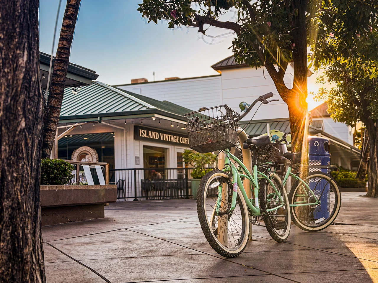 Parked Bikes
