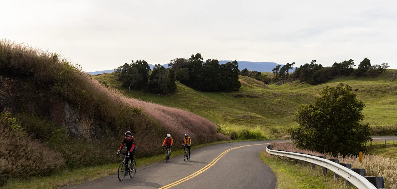 Cyclists